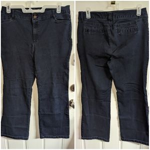 Est. 1946 Cato ladies dark denim plus size jeans